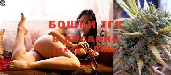 крисы Белокуриха