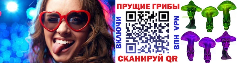 гидра вход Юрга Псилоцибиновые грибы мицелий